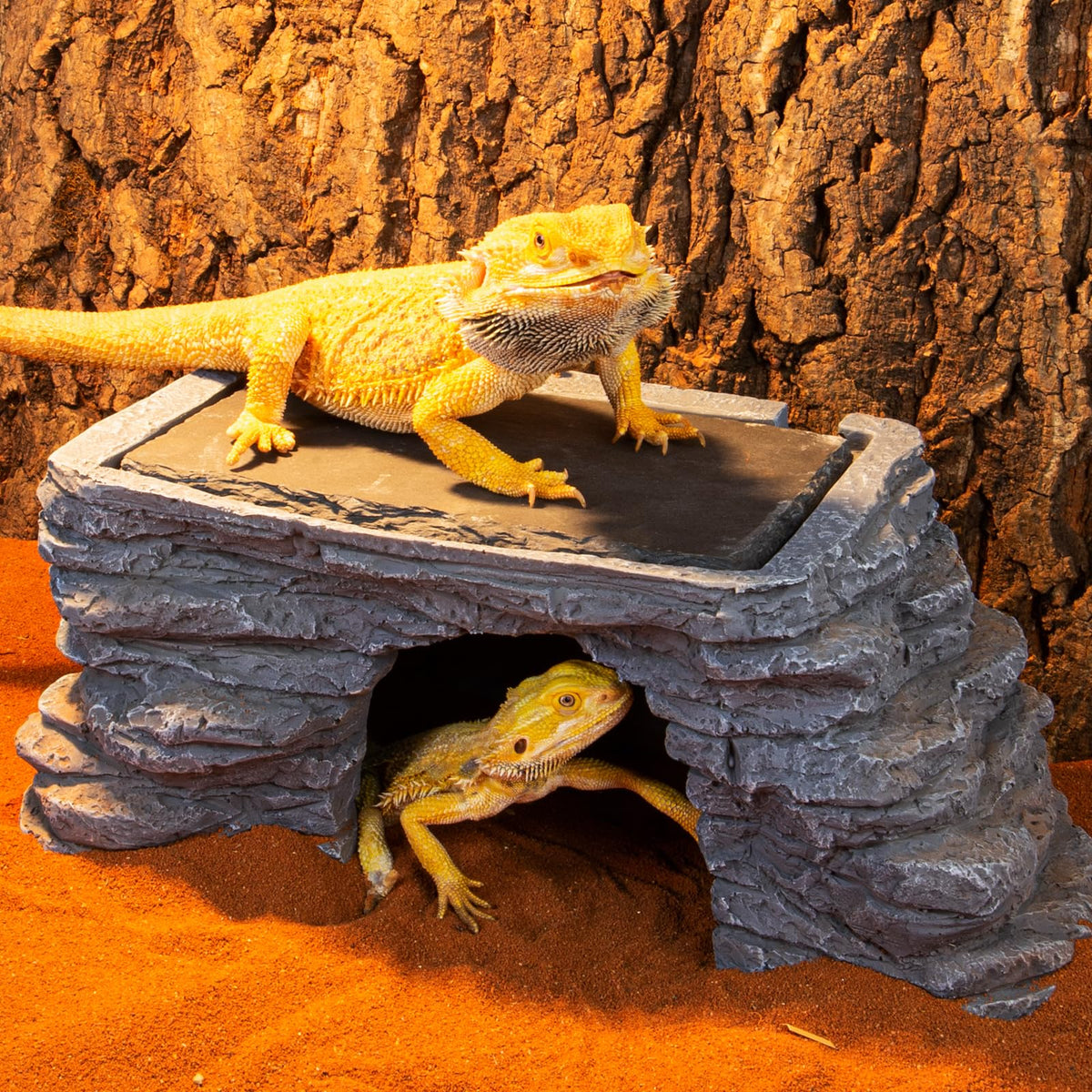 UVB Reptile Light with Basking Platform Combo Kit Z7220