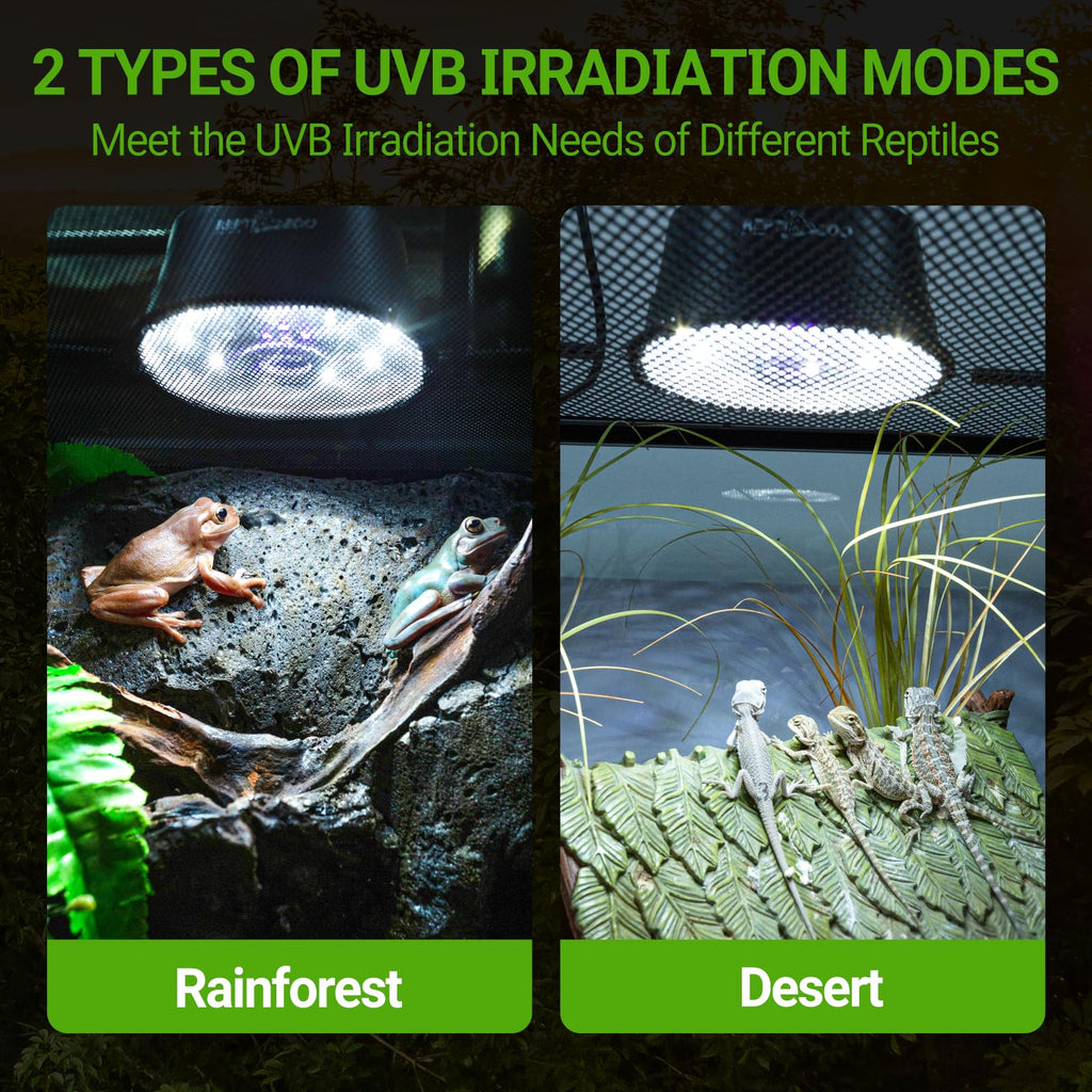 UVB Reptile Light with Basking Platform Combo Kit Z7220