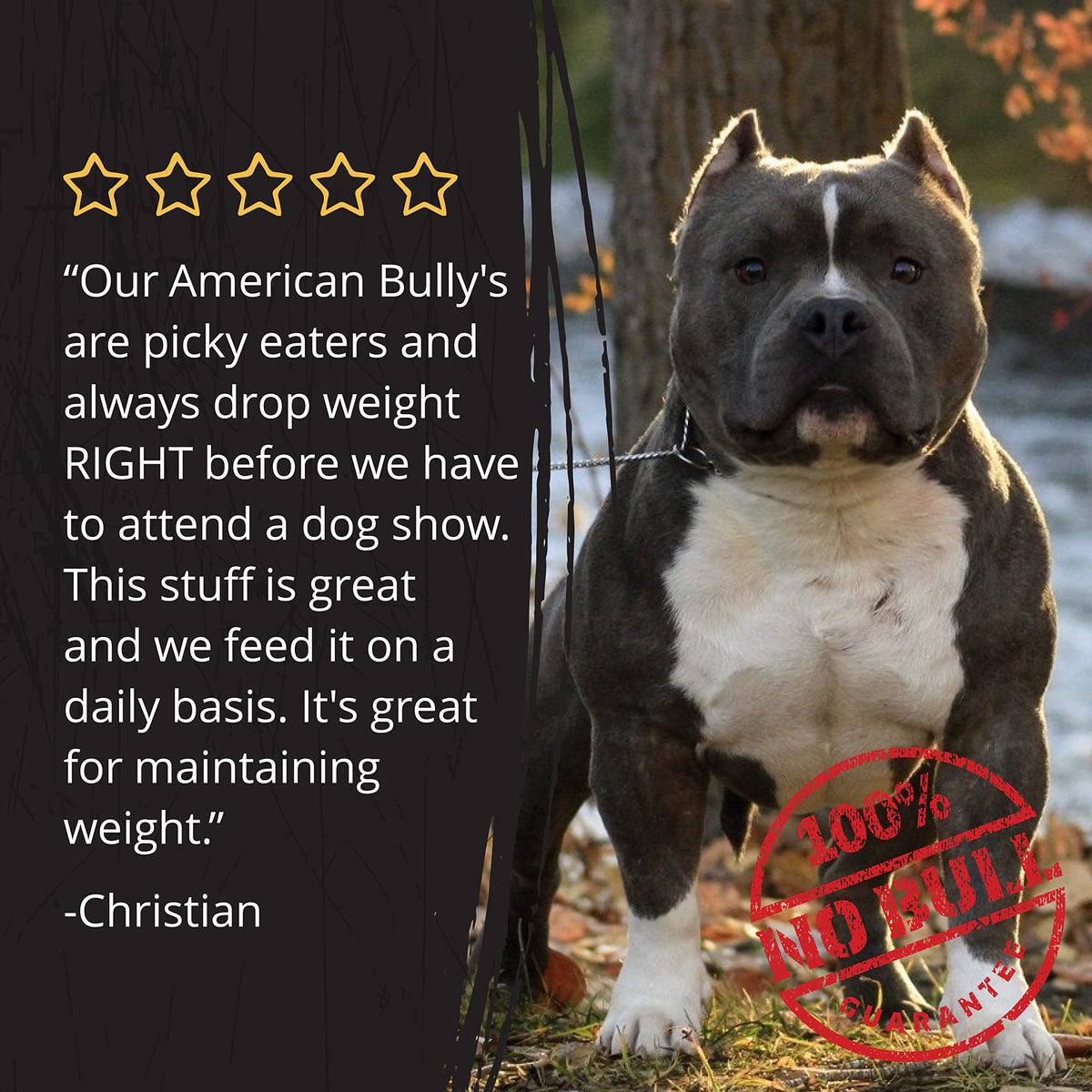 Dog Food Topper and Weight Gainer C269