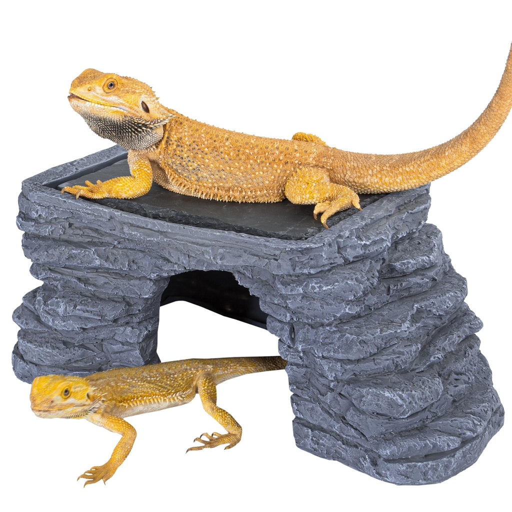 UVB Reptile Light with Basking Platform Combo Kit Z7220