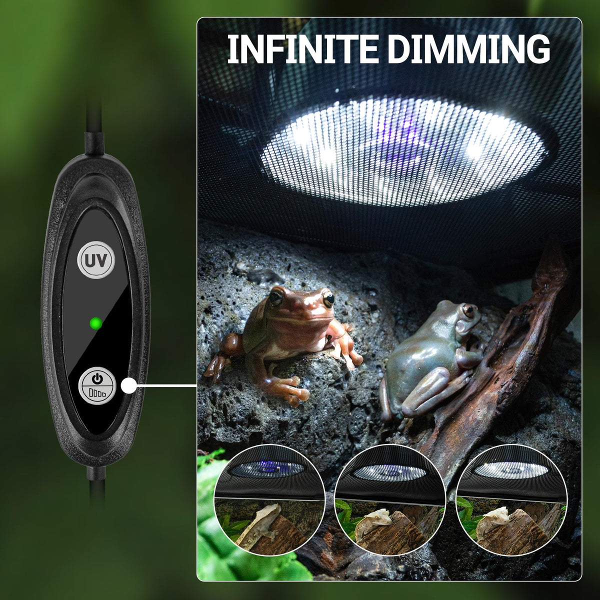 UVB Reptile Light with Basking Platform Combo Kit Z7220