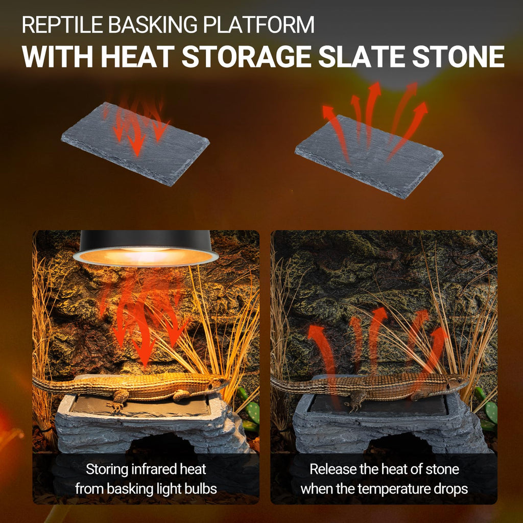 UVB Reptile Light with Basking Platform Combo Kit Z7220