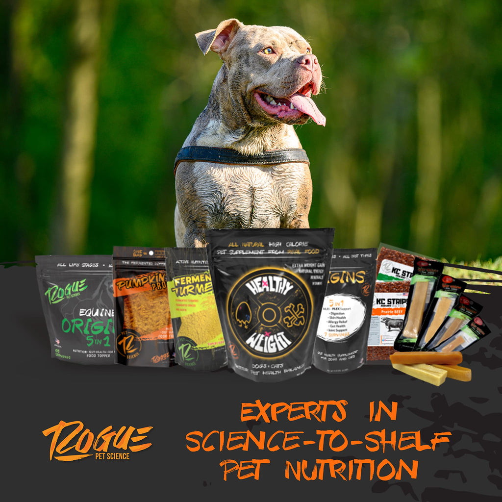 Dog Food Topper and Weight Gainer C269